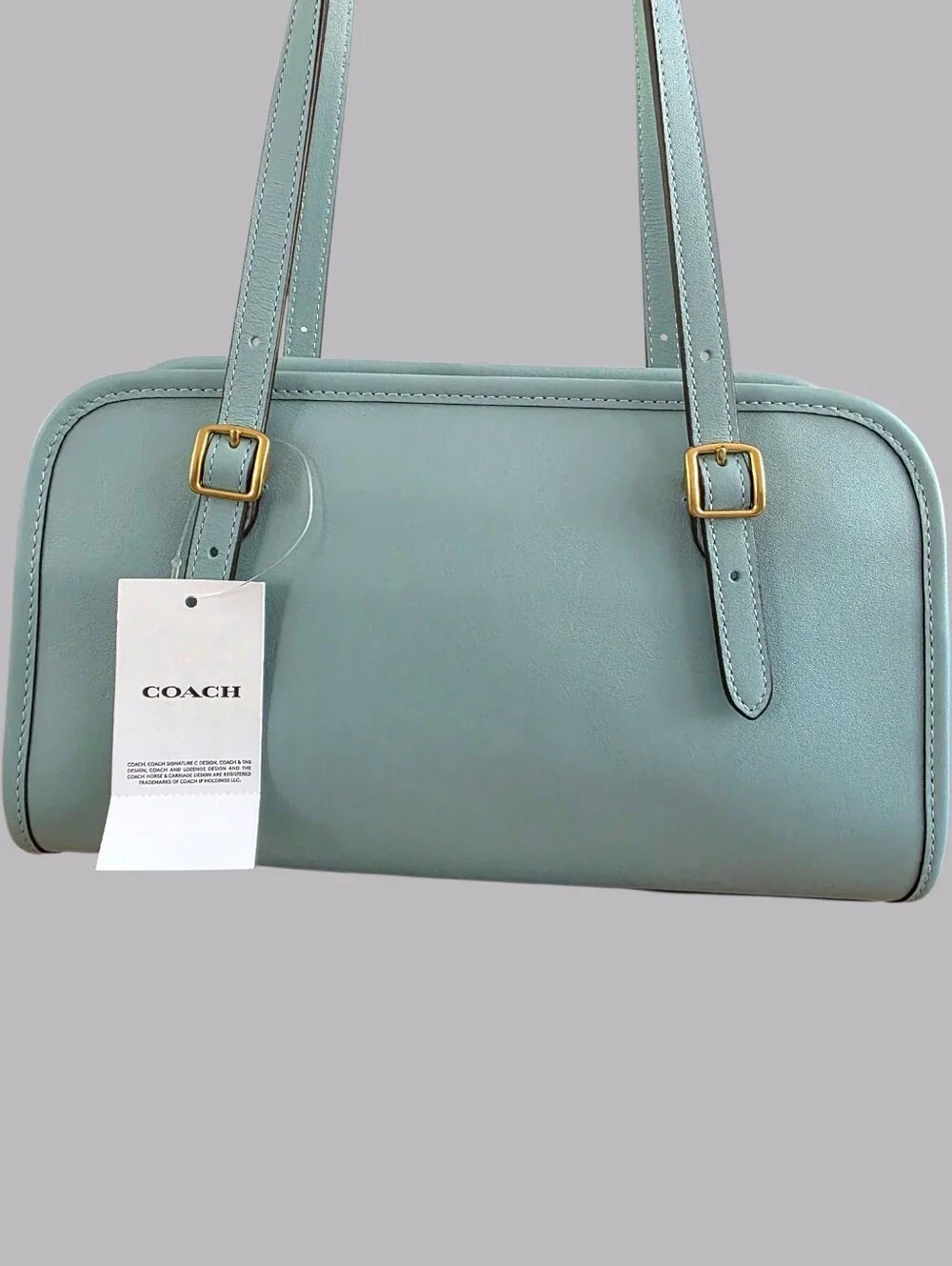 COACH Swing Zip 20 Shoulder Bag in Light Blue Brass NEW